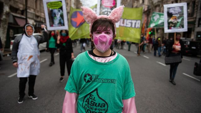 连日来，阿根廷多个城市都爆发了反对与中国签订猪肉生产协议的抗议。(photo:BBC)