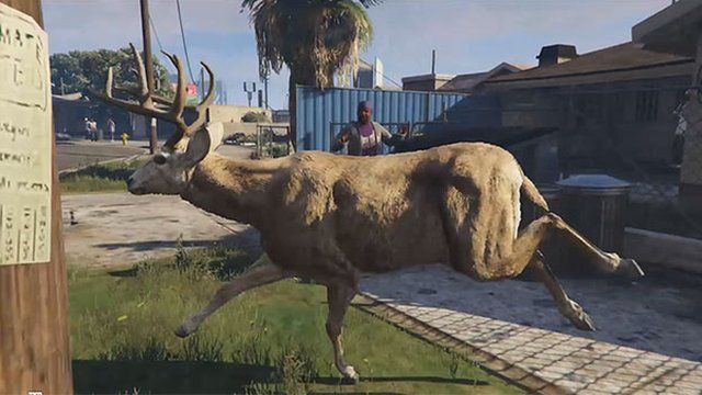 Screenshot from GTA deer cam