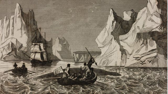 Ilustração mostra homens em barcos, no mar, representando uma caça a baleias em 1840