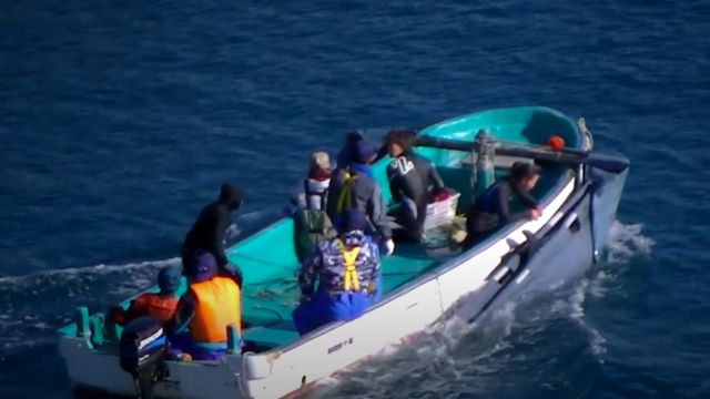 Barco carrega em sua lateral golfinhos capturados em praia no Japão