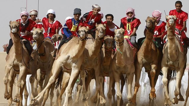 Vários homens montados em camelos