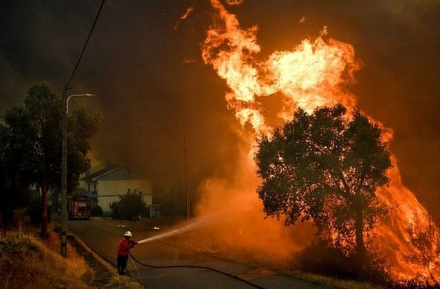 A firefighter tackles a wildfire close to the village of Pucarica in Abrantes on August 10, 2017