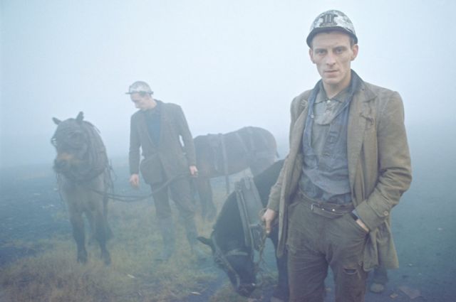Даремские шахтеры со своими рабочими пони, 1965 г.