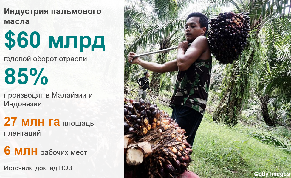 Пальмовое масло опасно. Врачи и ученые готовы рассказать об этом всему миру  - BBC News Русская служба