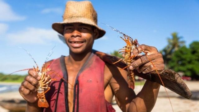 Merlin shows off his catch, these small lobsters are hard to sell and will often be eaten by the locals