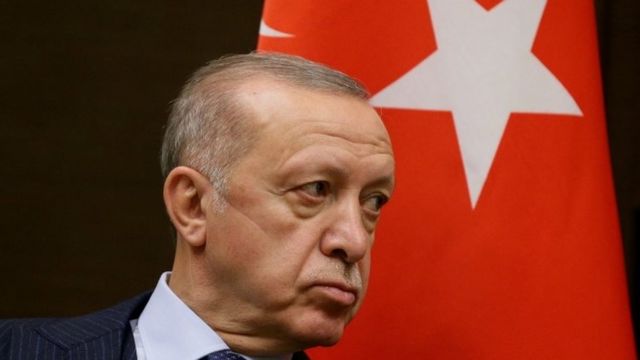 トルコ大統領 西側10カ国の大使追放を命令 民主化活動家の解放めぐり cニュース