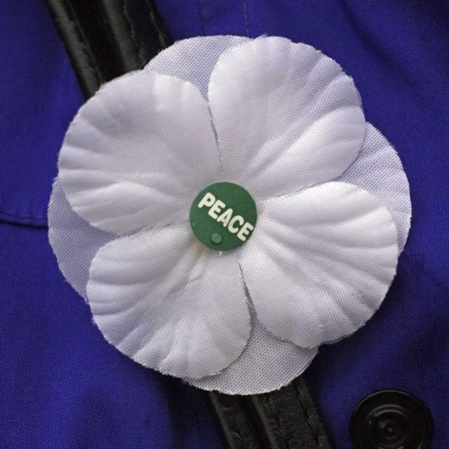 White poppy meaning: What the pacifist symbol means and why people