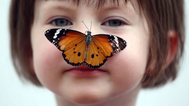 Дівчинка з метеликом