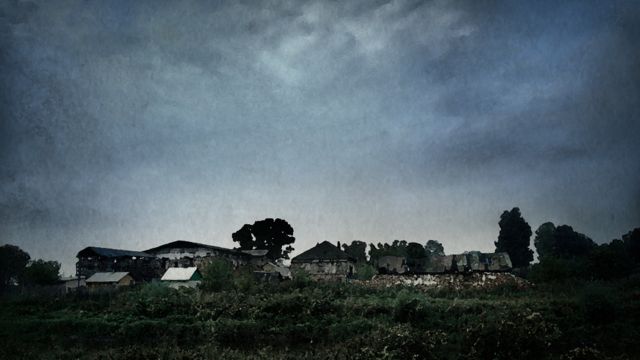 Иллюстрация Олеси Волковой