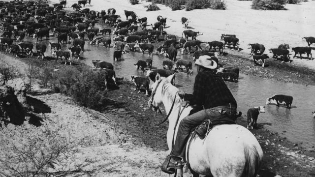 FRONTEIRAS E seus significados, só pelas imagens. Uns precisam de arame  farpado, outros não. PPS montado por Magu, com fotos enviadas pelo  Anhangüera, - ppt carregar