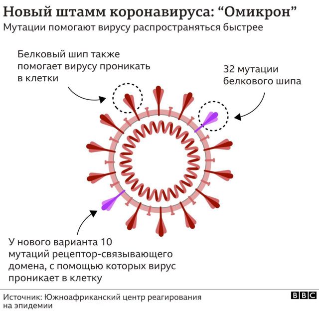 Новый Коронавирус 2022 Года