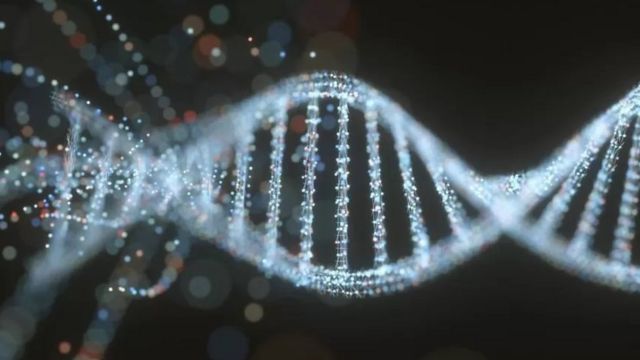 அறிவியல் அதிசயம்