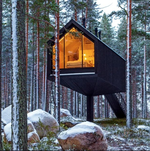 kabin di hutan
