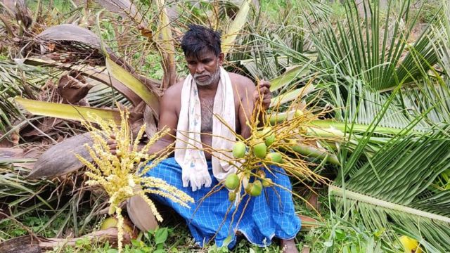 தென்னை விவசாயி