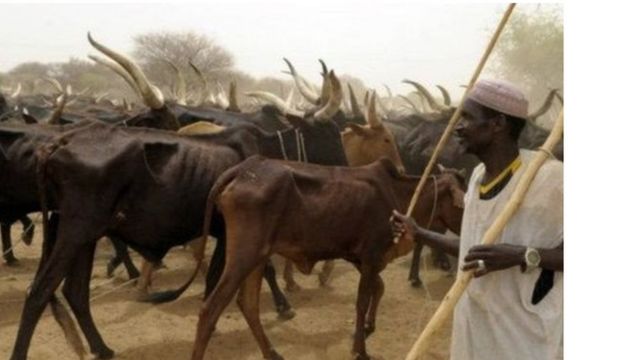 Fulani makiyya