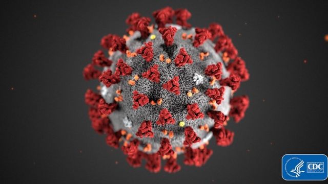 فيروس كورونا: كيف يختار العلماء اسما لأي فيروس جديد؟ - BBC News عربي