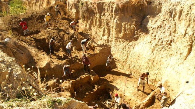 Haraaga Shimbirta waxaa laga helay webiga Christmas oo ku yaalla dalk Madagascar
