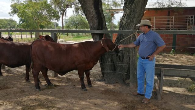 Qué dicen en Paraguay de la construcción de la megacarretera que unirá dos océanos a través de su “infierno verde”