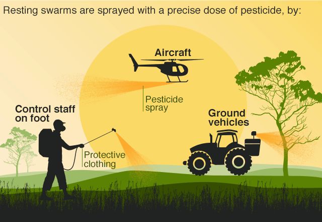 Pesticide graphic