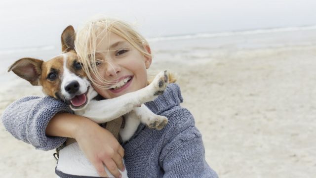 are dogs allowed on beaches in clwyd