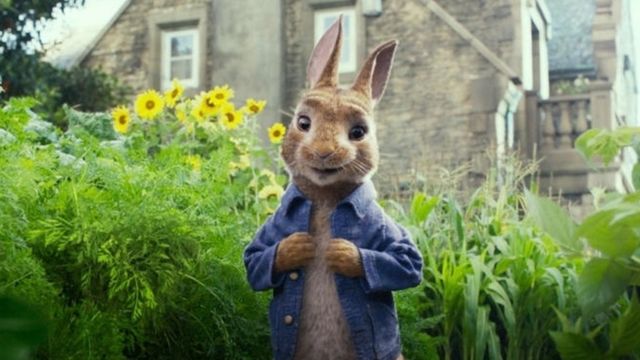 Por qué causó controversia una escena de la película del conejo Peter  Rabbit por la que acusan a Sony de bullying? - BBC News Mundo