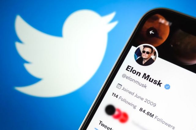 El logo de Twitter y el perfil de Elon Musk en la red social.