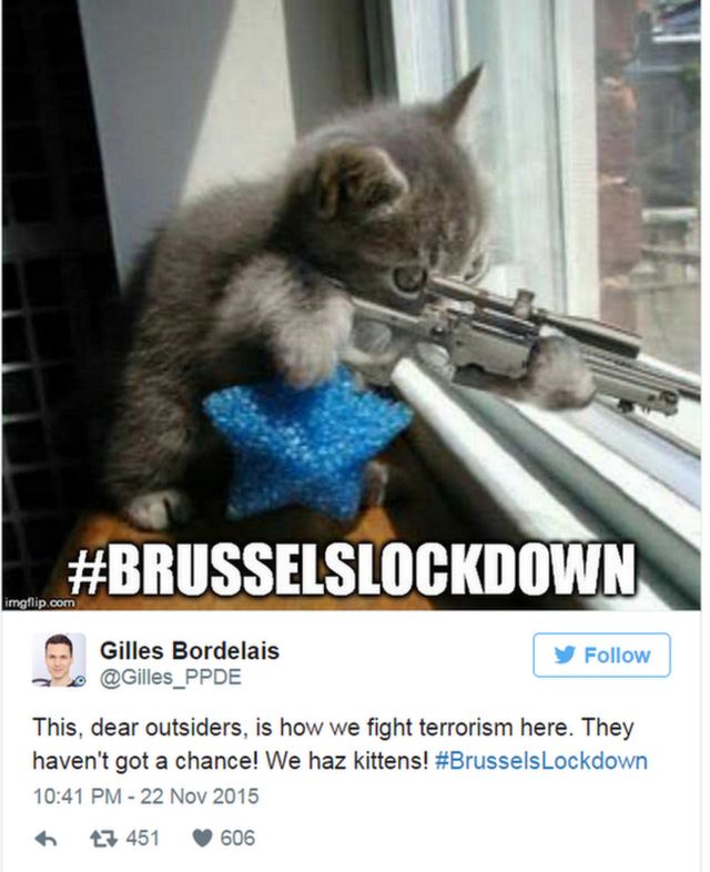 「外国の皆さん、ここではテロとこうして戦うんです。向こうに勝ち目なし！　こっちには子ぬこがいるし！　#ブリュッセル厳戒」というツイート