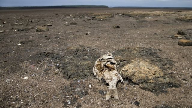 Uruzuba muri Afrika