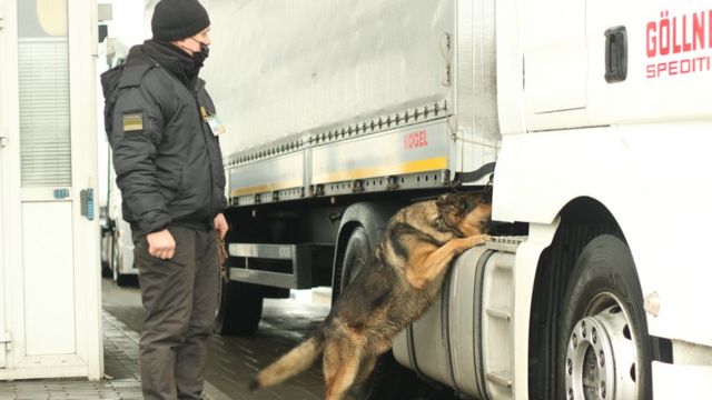 "Тварини хабарів не беруть". Як влаштоване життя собаки-прикордонника