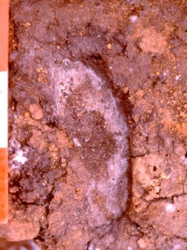 Pisada humana con una data de 14.500 años de antigüedad.