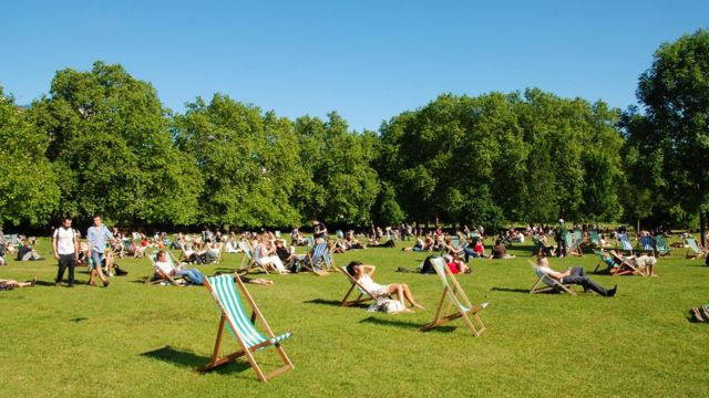 Hyde Park in summer