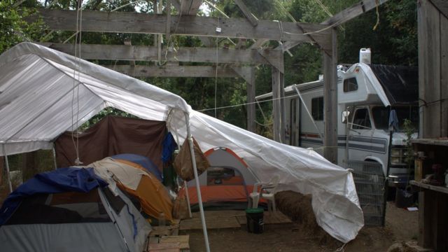 Acampamento em fazenda de maconha dos EUA