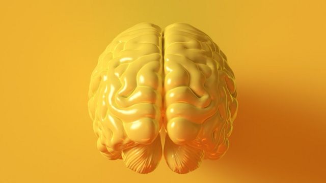 Modelo de cérebro na cor amarela