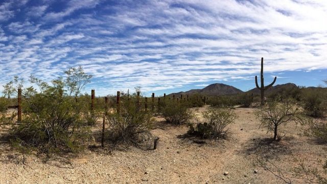 Deserto na fronteira entre EUA e México, em foto de arquivo