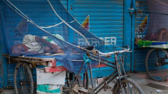 MOSQUITEOS, DENGUE