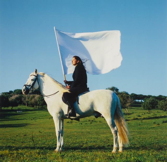 Marina Abramović, The Hero, 2001, National Museum of Women in the Arts, Heather və Tony Podesta-nın hədiyyəsi, Washington, D.C.
