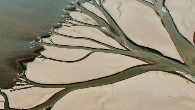 江西南昌鄱阳湖进贤段水域因干旱现“大地之树”景观（新华社图片23/8/2022）