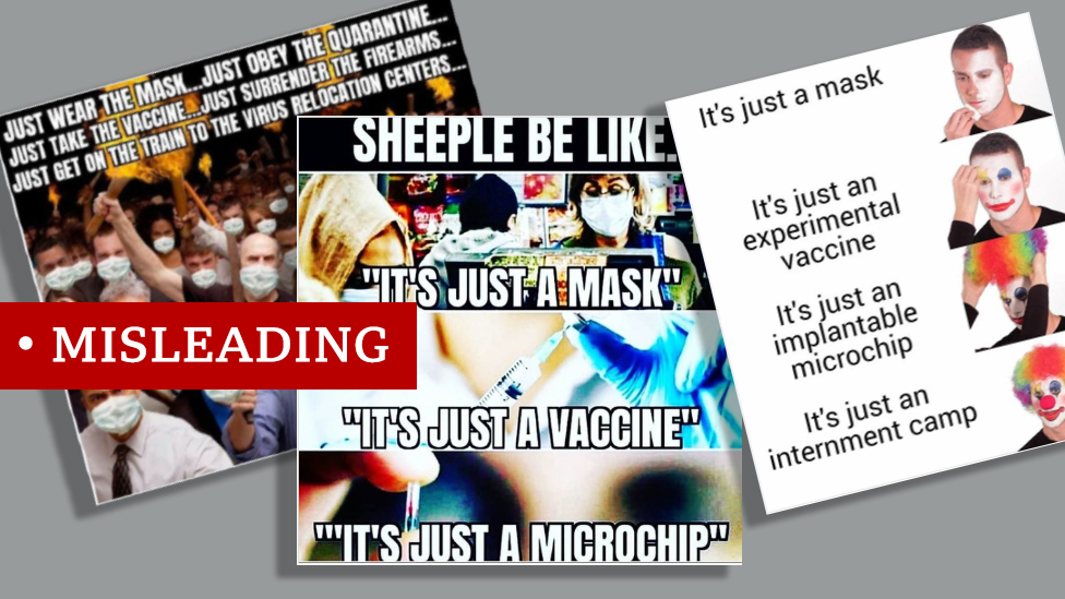 Covid 19 What S The Harm Of Funny Anti Vaccine Memes Bbc News