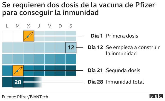 Cuánto demora en construirse la inmunidad tras vacunarse con el compuesto de Pfizer y BioNTech