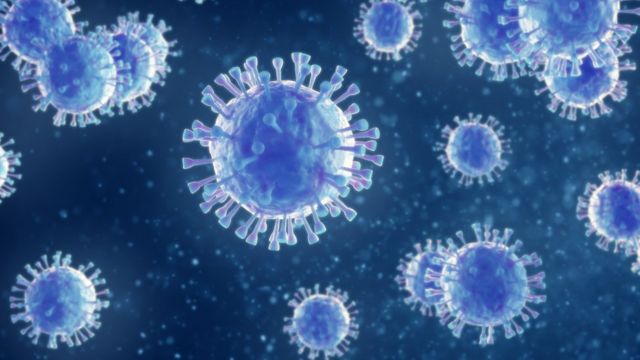 G4 EA H1N1: Novo vírus com potencial pandémico detetado na China