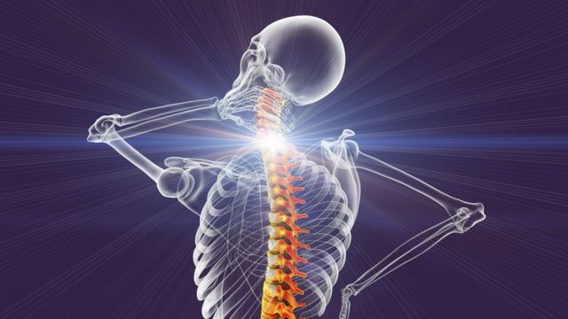 முதுகெலும்பு நாள்