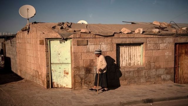 Inhabitants of the Atacama desert