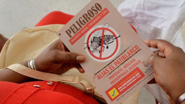 Las campañas preventivas para combatir al mosquito siguen vigentes.