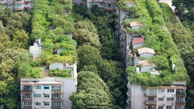 Cây cối xanh tươi giúp giữ cho các thành phố như Thành Đô, Trung Quốc, thoáng mát vào mùa hè.