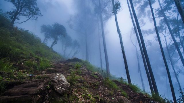 கொடைக்கானல்