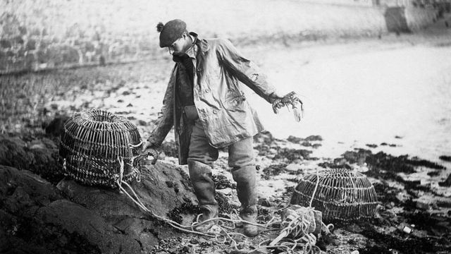Pesca de lagosta em 1904