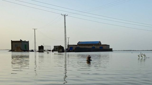 سندھ سیلاب