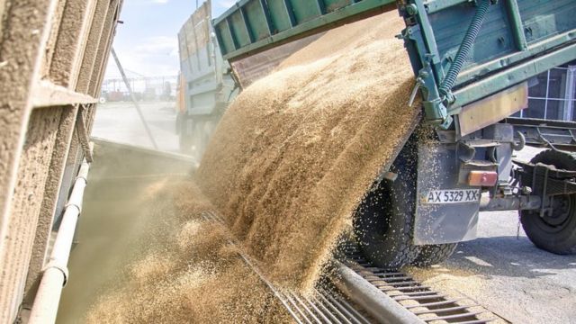 تفريغ القمح في منطقة تشوهيف بأوكرانيا، بالقرب من خاركيف، 19 يوليو/تموز 2022