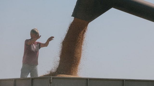 Grain harvest in Kharkiv region, 25 Jul 17 file pic