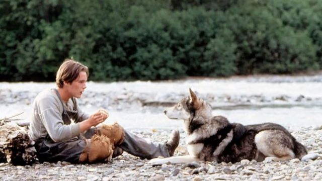 U filmskoj adaptaciji Belog očnjaka iz 1991, Itan Hok je mladi heroj koji pokušava da se obogati tokom zlatne groznice u Klondajku i koji se vezuje za psa iz naslova ovog dela